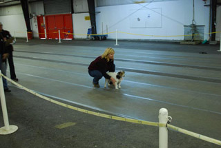 Annie gets ready to race