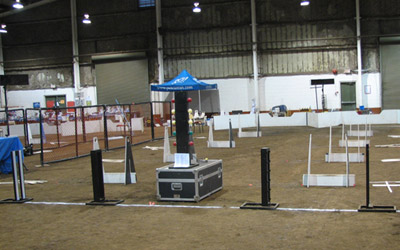 The flyball setup
