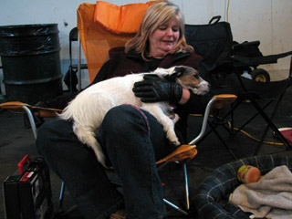 Annie doesn’t let flyball stress her out ! 