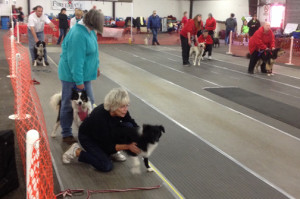 Lexi and Stormy ready on the line 